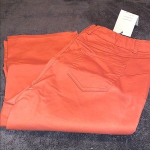 Dark orange capris size 16W